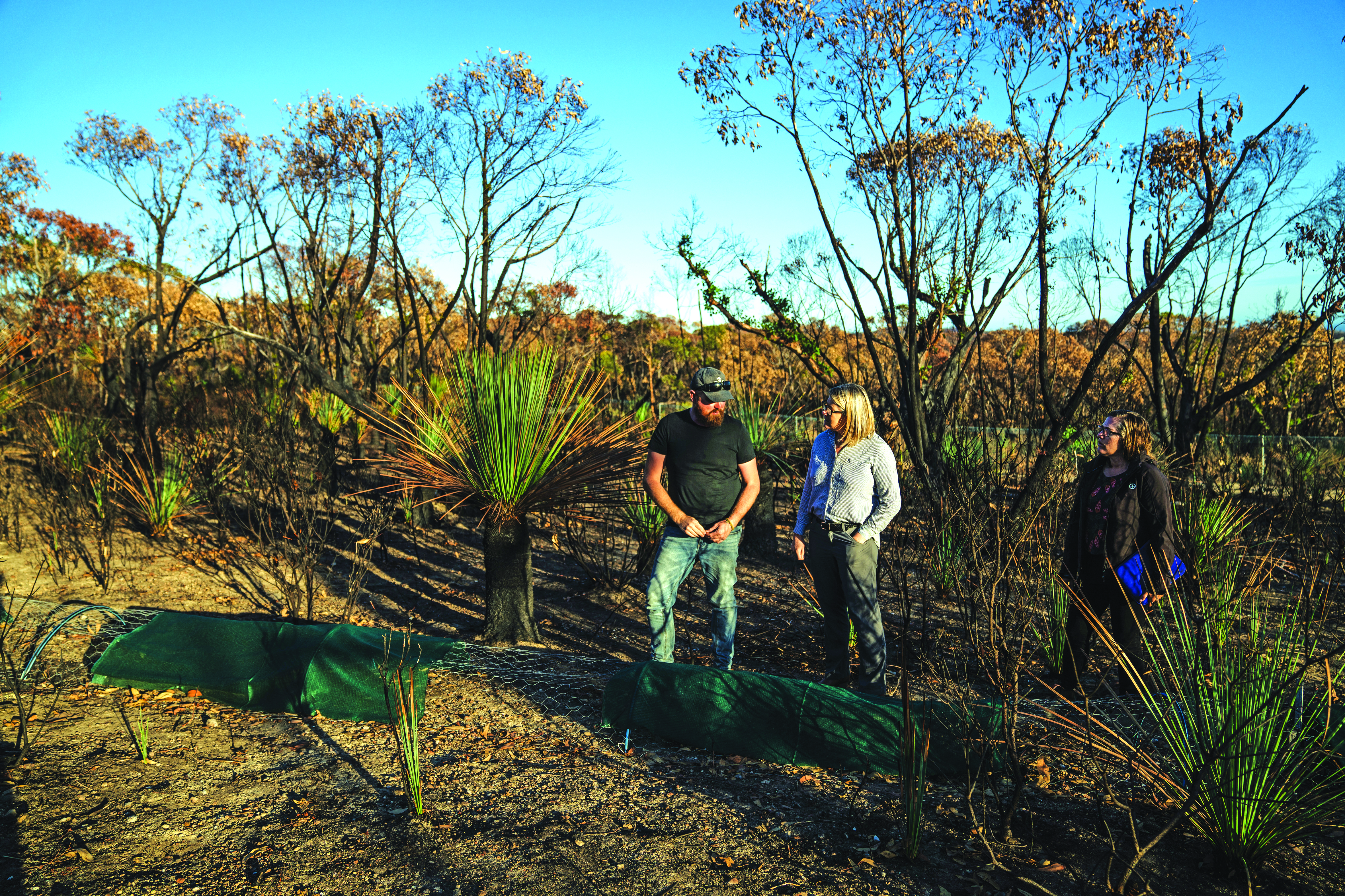 Rapid action to save species after the fires