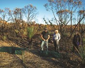 Rapid action to save species after the fires
