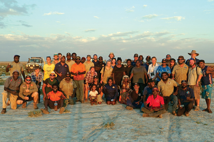 Talking night parrots on Paruku Country