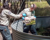 New territory for threatened frog