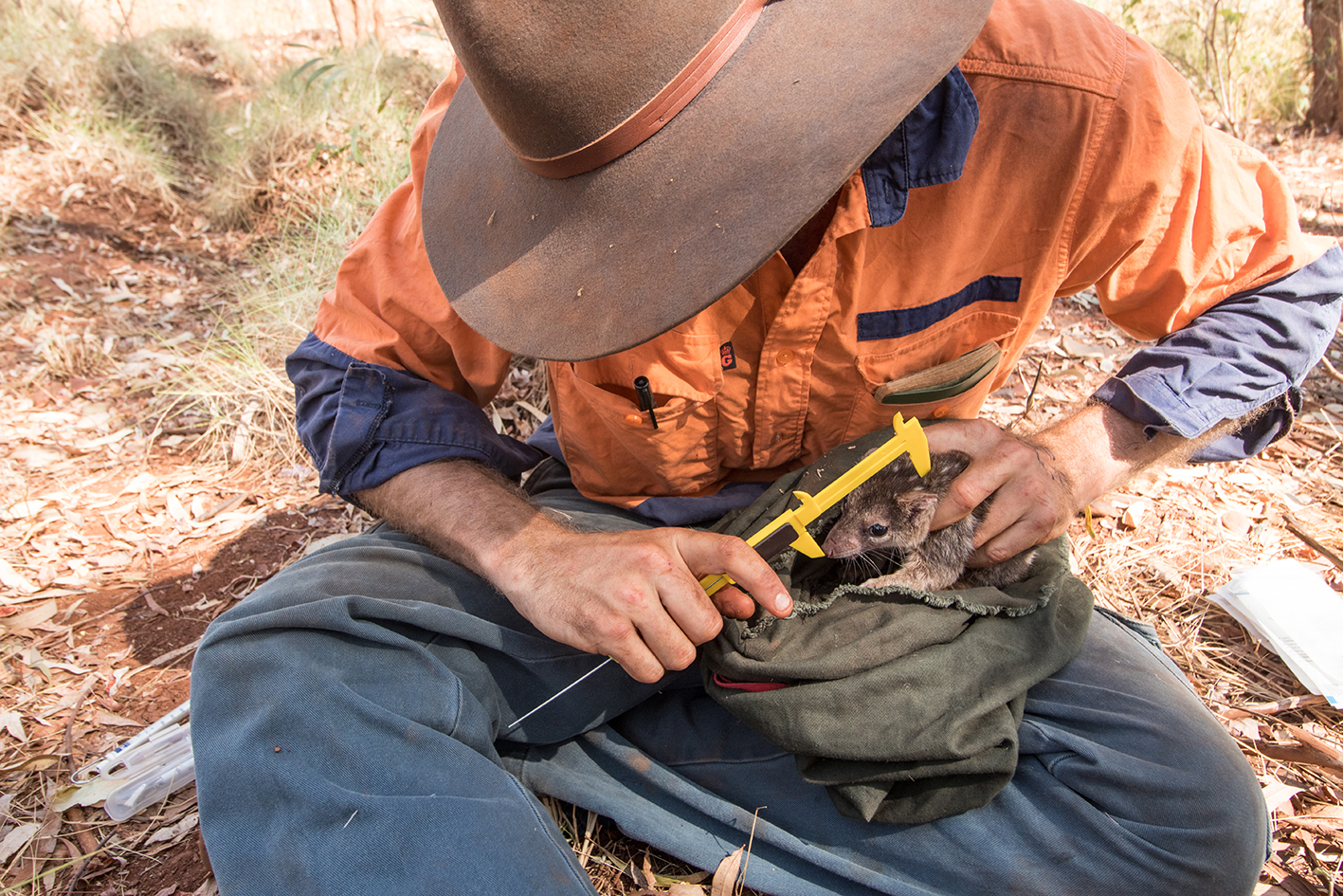 We need to know – the critical role of monitoring in Australia’s fight against extinctions