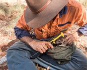 We need to know – the critical role of monitoring in Australia’s fight against extinctions