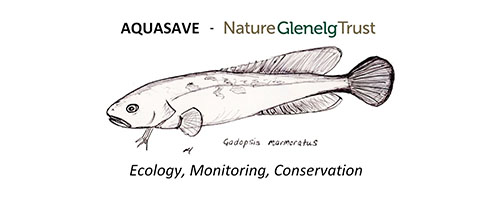 Aquasave-Nature Glenelg Trust