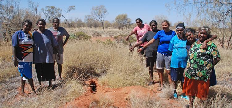 Monitoring Threatened Species on Indigenous lands: Bilbies in the Martu Determination