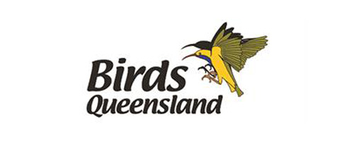 Birds Queensland
