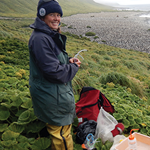 Post-eradication monitoring on Macquarie Island