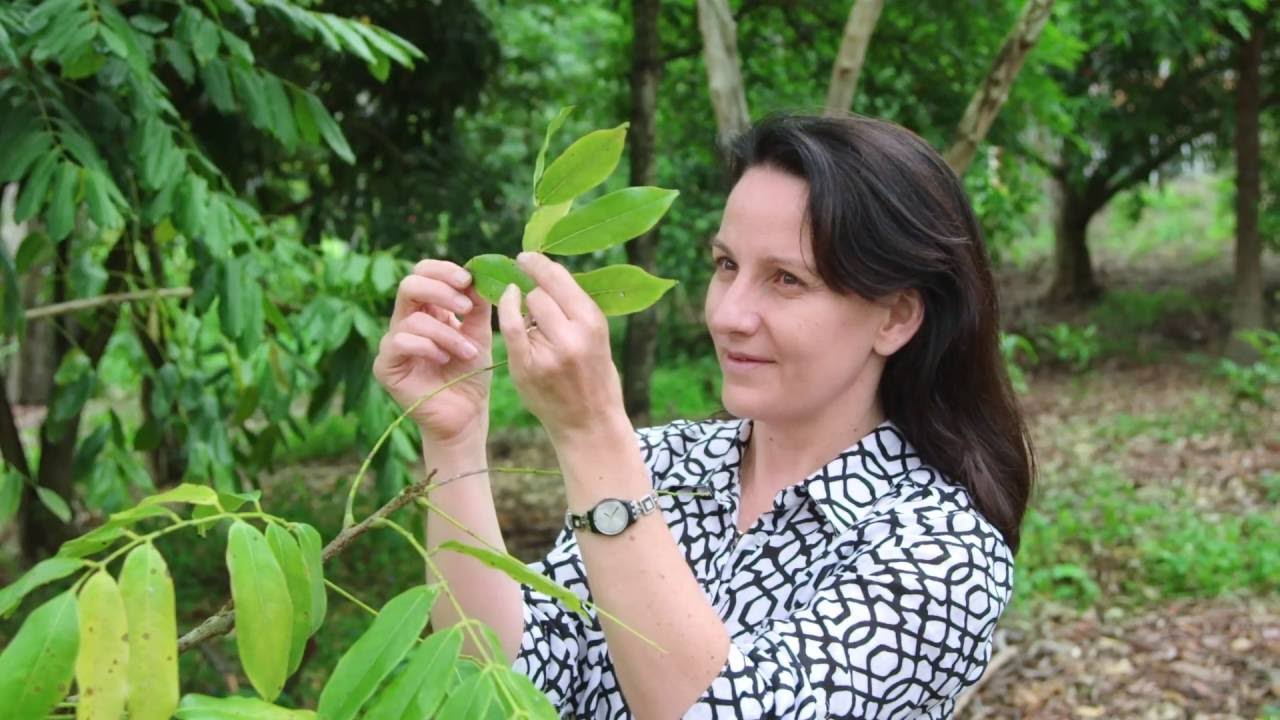 Award will enhance the reputation of conservation science