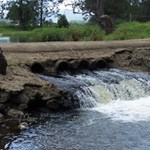 Mitigating and managing barriers to fish passage and improving river connectivity