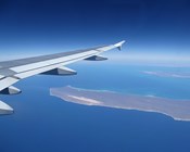 Mammals on ‘arks’