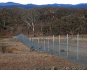 Getting strategic with havens