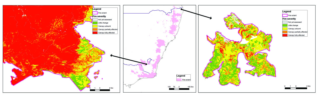 Population responses to fires of varying severity for priority vertebrate and spiny crayfish species, and the extent to which management actions support recovery