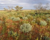 Plant conservation a talk in the park for Hub researchers