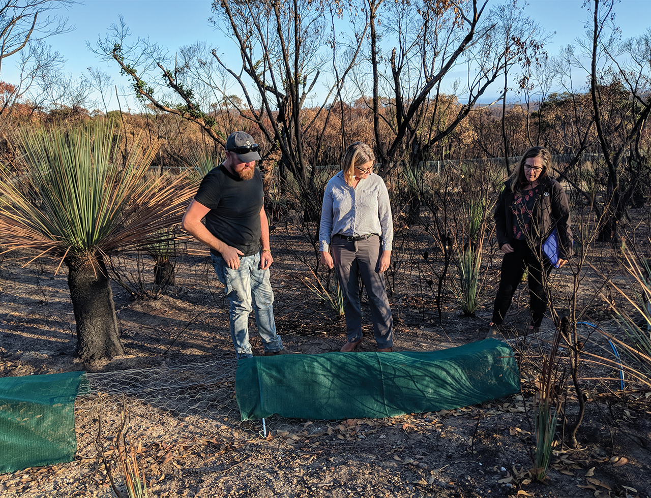 Supporting the  Australian Government’s Black Summer bushfires response