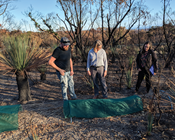 Supporting the Australian Government’s Black Summer bushfires response