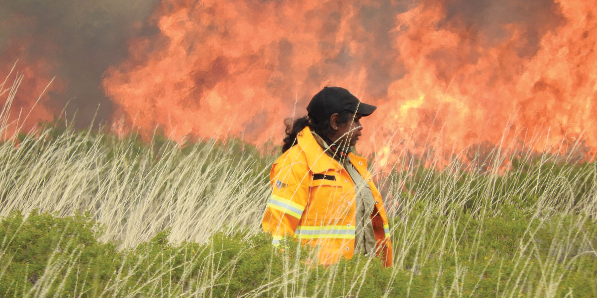 Managing jila on Ngurrara Country