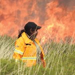 Managing jila on Ngurrara Country