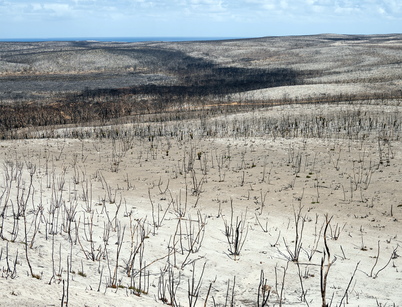 As we approach our next fire season, what have we learnt about how to minimise impacts to nature?