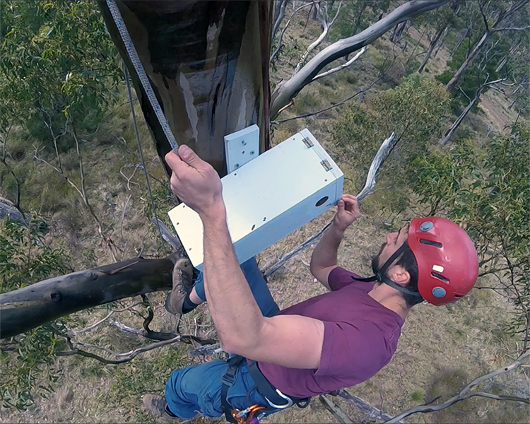 Out of the box - Designing nest boxes for conservation success