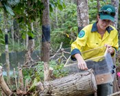 New territory for Christmas Island reptile conservation