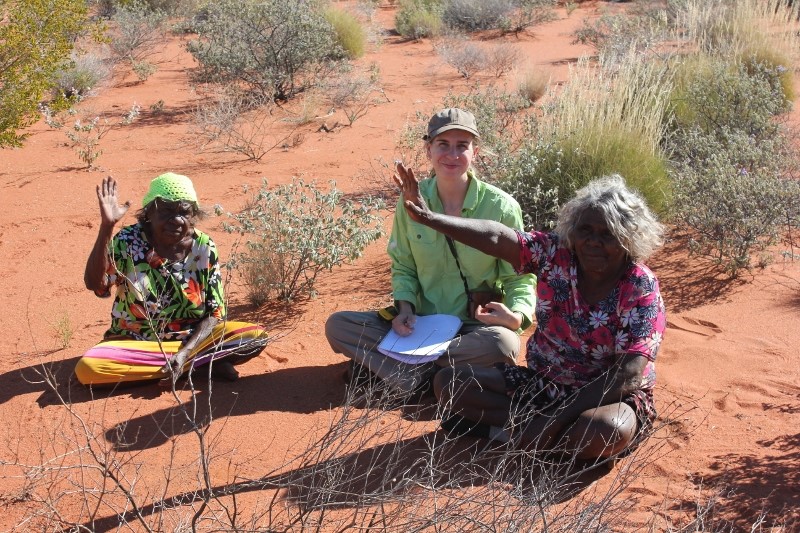 Designing a best-practice bilby monitoring program for Martu rangers