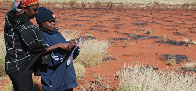 Arid Zone Monitoring: Surveys for vertebrates across arid and semi-arid zones