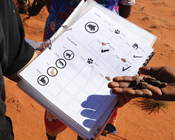 Supporting Indigenous-led research for threatened and culturally significant species