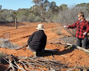 Effective conservation of Australian mammals threatened by cats