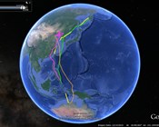 Curlew globe-trotting update