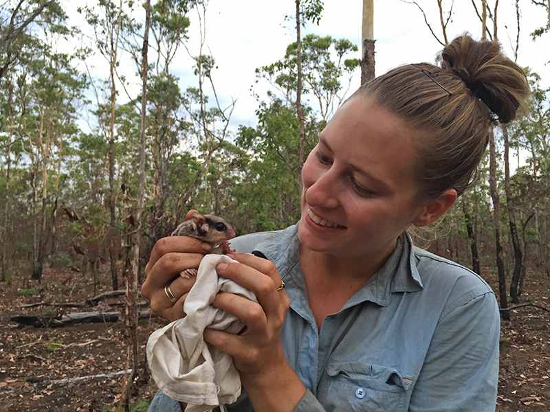 Solutions to northern Australia’s mammal decline crisis