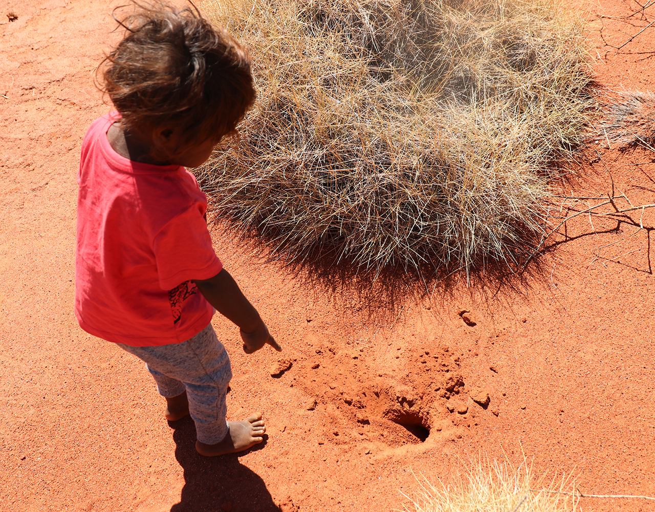 Kids learning to track Mankarr on Martu Country