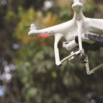 Using drones for biodiversity monitoring