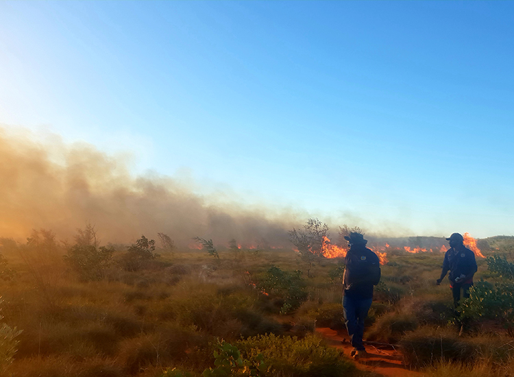 Pirra Jungku (desert fire): New ways for traditional burning