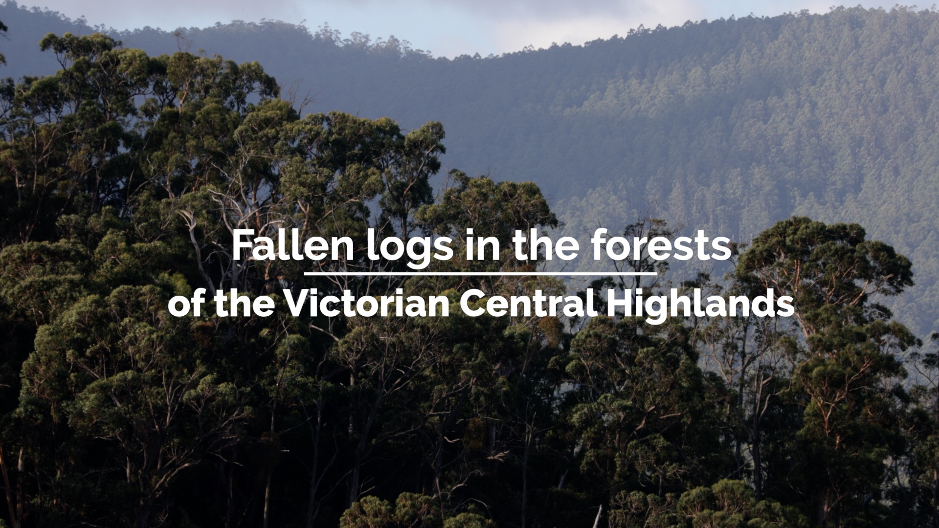 Fallen logs in the forests of the Victorian Central Highlands