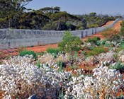 Rethinking private land to save species