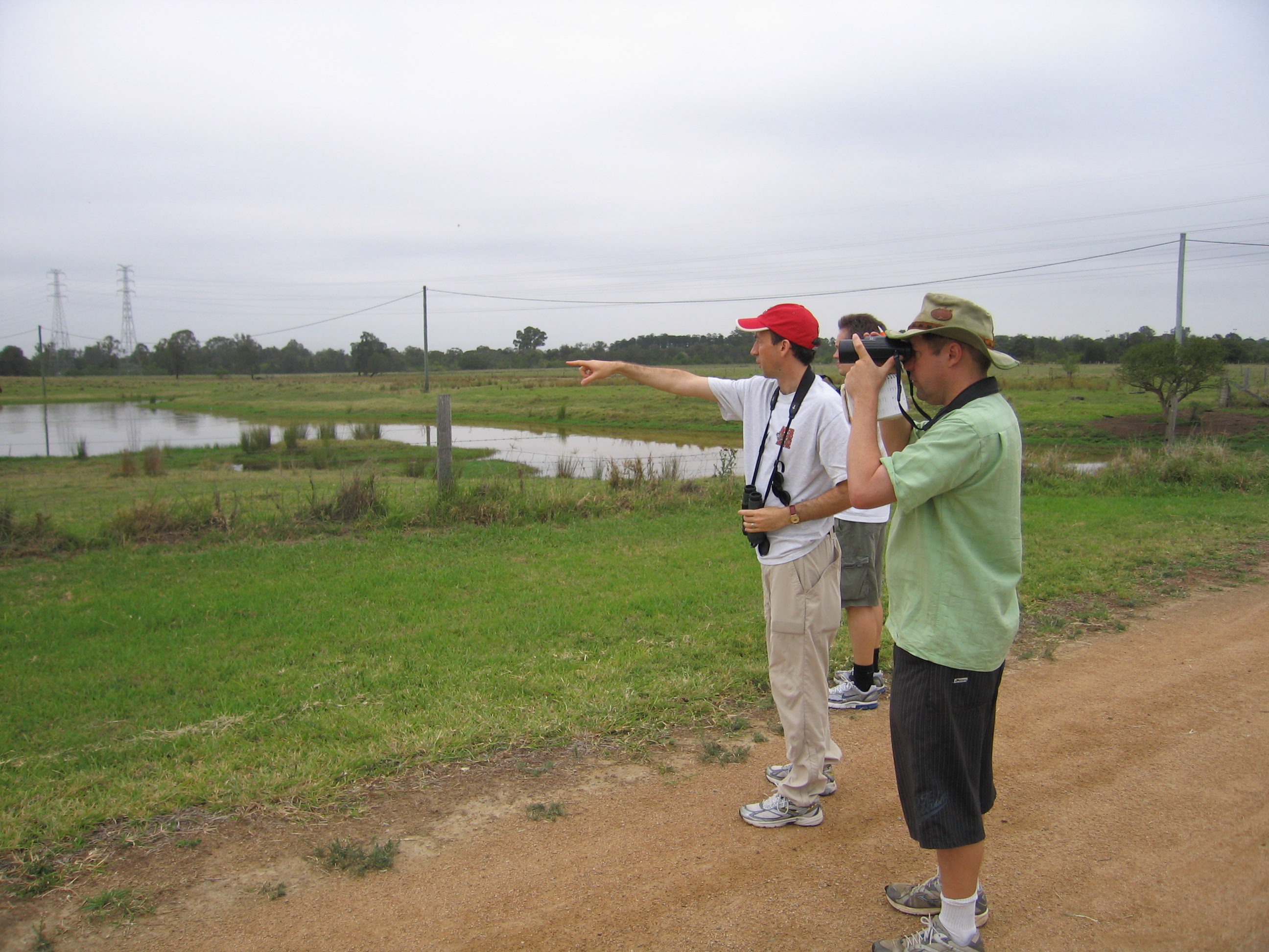 Measuring return on investment in threatened species recovery