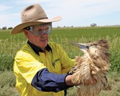 Private land manager profile: Mark Robb