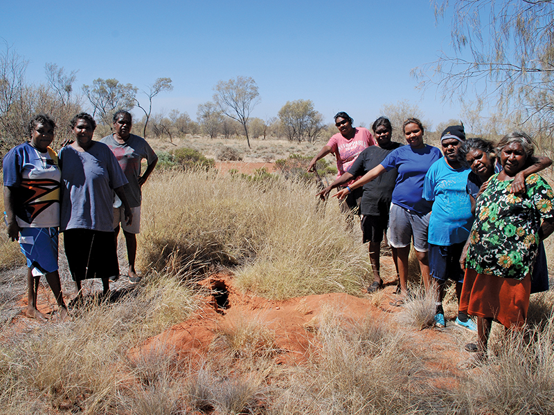 Indigenous land manager profile: Kanyirninpa Jukurrpa and Martu people