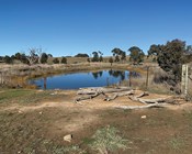 Sustainable Farms: bringing people together to support healthy farms, farmers and profits