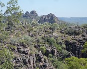 The economics of threatened species