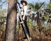 Researcher Profile: Hayley Geyle