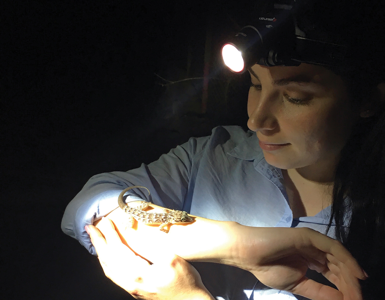 Protecting threatened Christmas Island reptiles from a new disease