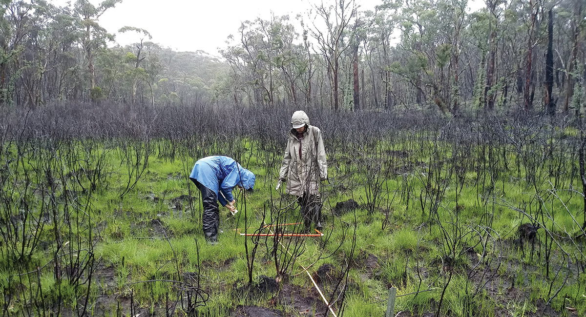 Fire-related risks to, and conservation strategies for, ecological communities